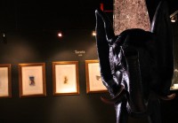 /album/galerie-photos/img-3448-jpg1/