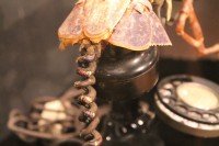 /album/galerie-photos/img-3577-jpg1/