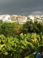 /album/liban-2011/wp-000493-jpg1/