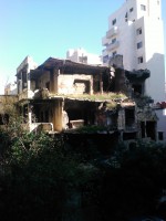 /album/liban-2011/wp-000580-jpg1/