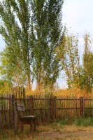 /album/parc-de-st-cloud-/img-0076-jpg/