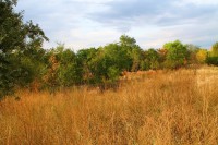 /album/parc-de-st-cloud-/img-0078-jpg/