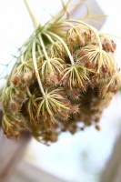 /album/parc-de-st-cloud-/img-0083-jpg/