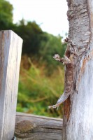 /album/parc-de-st-cloud-/img-0088-jpg/