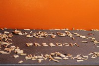 /album/autres-/a205418-4244798562783-85306888-n1-jpg/