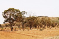 /album/maroc/img-0507-jpg/