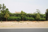 /album/maroc/img-0541-jpg/