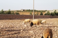 /album/maroc/img-0273-jpg/