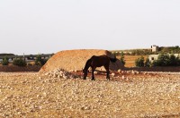 /album/maroc/img-0277-jpg/