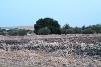 /album/gouter-en-famille-suite-maroc/img-0445-jpg/