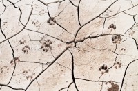 /album/autres-/img-0312-jpg/