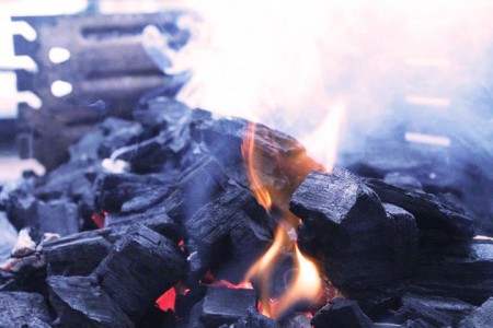 Summer Activity. (2012)