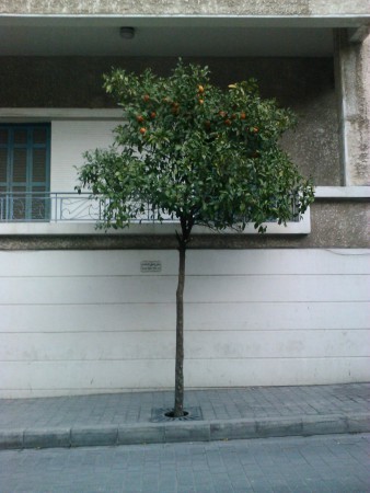 Beyrouth